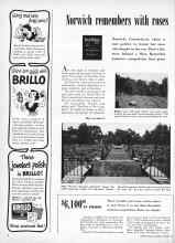 Better Homes & Gardens August 1949 Magazine Article: Norwich remembers with roses
