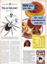 Better Homes & Gardens August 1949 Magazine Article: Ticks are bad actors!