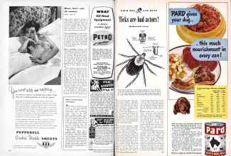 Better Homes & Gardens August 1949 Magazine Article: Page 124