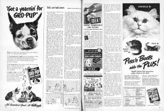 Better Homes & Gardens August 1949 Magazine Article: Page 126
