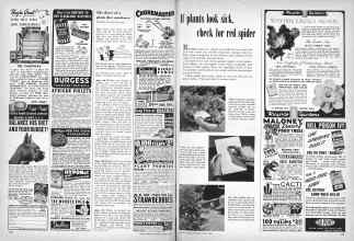 Better Homes & Gardens August 1949 Magazine Article: Page 138