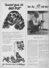 Better Homes & Gardens September 1949 Magazine Article: Your dog and mine