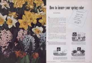 Better Homes & Gardens September 1949 Magazine Article: How to insure your spring color