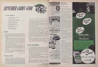 Better Homes & Gardens September 1949 Magazine Article: SEPTEMBER GARDEN GUIDE