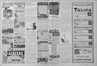 Better Homes & Gardens September 1949 Magazine Article: Page 210