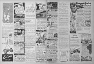 Better Homes & Gardens September 1949 Magazine Article: Page 214