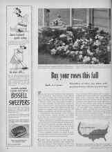Better Homes & Gardens October 1949 Magazine Article: Buy your roses this fall