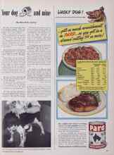 Better Homes & Gardens October 1949 Magazine Article: Your dog and mine