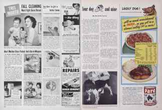 Better Homes & Gardens October 1949 Magazine Article: Page 230