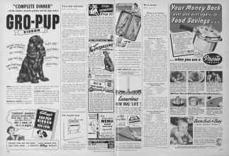 Better Homes & Gardens October 1949 Magazine Article: Page 232