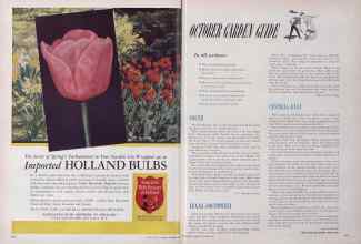 Better Homes & Gardens October 1949 Magazine Article: Page 242