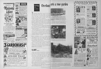Better Homes & Gardens October 1949 Magazine Article: Cleveland gets a rose garden