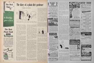 Better Homes & Gardens October 1949 Magazine Article: The diary of a plain dirt gardener