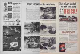 Better Homes & Gardens October 1949 Magazine Article: Prepare your plants now for winter beauty