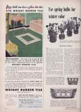Better Homes & Gardens November 1949 Magazine Article: Use spring bulbs for winter color