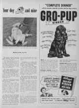 Better Homes & Gardens November 1949 Magazine Article: Your dog and mine