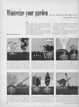 Better Homes & Gardens November 1949 Magazine Article: Winterize your garden for less work, fewer bare spots, more beauty next spring