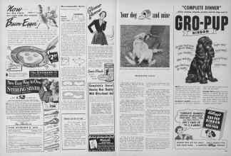 Better Homes & Gardens November 1949 Magazine Article: Page 208