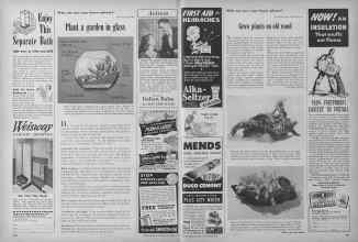 Better Homes & Gardens November 1949 Magazine Article: Page 240
