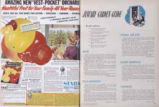 Better Homes & Gardens January 1950 Magazine Article: Page 104