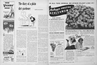Better Homes & Gardens January 1950 Magazine Article: Page 106