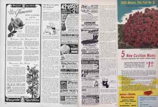 Better Homes & Gardens January 1950 Magazine Article: Page 108