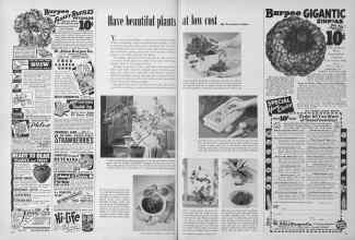 Better Homes & Gardens January 1950 Magazine Article: Have beautiful plants at low cost