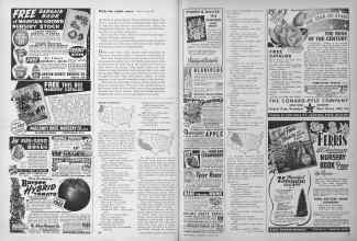 Better Homes & Gardens January 1950 Magazine Article: Pacific Northwest