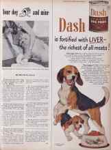 Better Homes & Gardens February 1950 Magazine Article: Your dog and mine