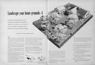 Better Homes & Gardens February 1950 Magazine Article: Landscape your home grounds-I