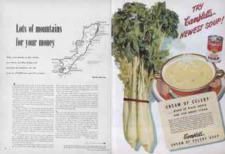 Better Homes & Gardens February 1950 Magazine Article: Page 58