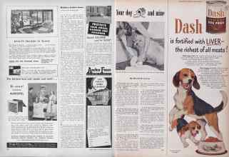 Better Homes & Gardens February 1950 Magazine Article: Page 146