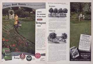 Better Homes & Gardens February 1950 Magazine Article: Page 182