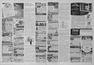 Better Homes & Gardens February 1950 Magazine Article: Page 186