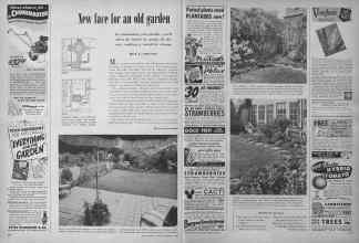 Better Homes & Gardens February 1950 Magazine Article: New face for an old garden