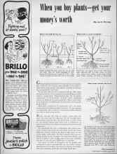 Better Homes & Gardens March 1950 Magazine Article: When you buy plants--get your money's worth
