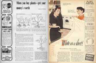 Better Homes & Gardens March 1950 Magazine Article: Page 6