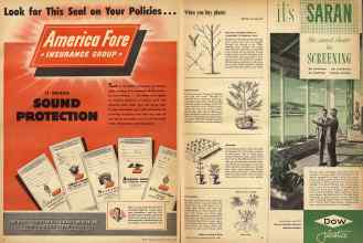 Better Homes & Gardens March 1950 Magazine Article: Page 8