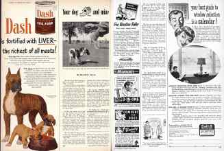 Better Homes & Gardens March 1950 Magazine Article: Your dog and mine