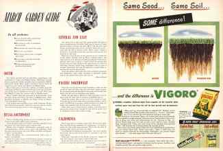 Better Homes & Gardens March 1950 Magazine Article: Page 258