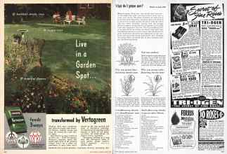 Better Homes & Gardens March 1950 Magazine Article: Page 262