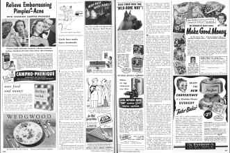 Better Homes & Gardens March 1950 Magazine Article: Page 286