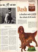 Better Homes & Gardens April 1950 Magazine Article: Your dog and mine