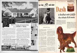 Better Homes & Gardens April 1950 Magazine Article: Page 224