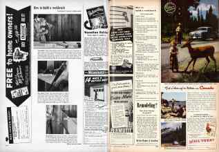 Better Homes & Gardens April 1950 Magazine Article: Page 236