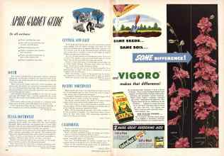 Better Homes & Gardens April 1950 Magazine Article: Page 292