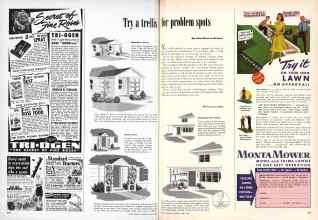 Better Homes & Gardens April 1950 Magazine Article: Try a trellis for problem spots