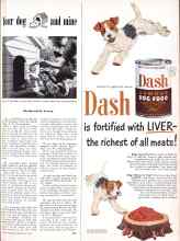 Better Homes & Gardens May 1950 Magazine Article: Your dog and mine