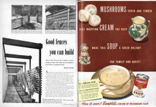 Better Homes & Gardens May 1950 Magazine Article: Page 62