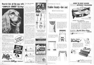 Better Homes & Gardens May 1950 Magazine Article: Page 286